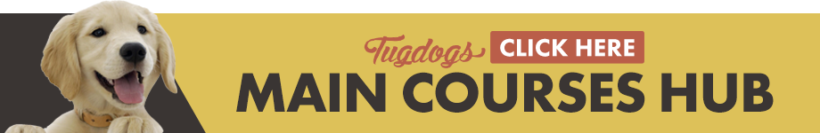 Tug Dogs – Teach, Train, Tug – Professional Dog Training ...